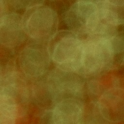 Bokeh-431